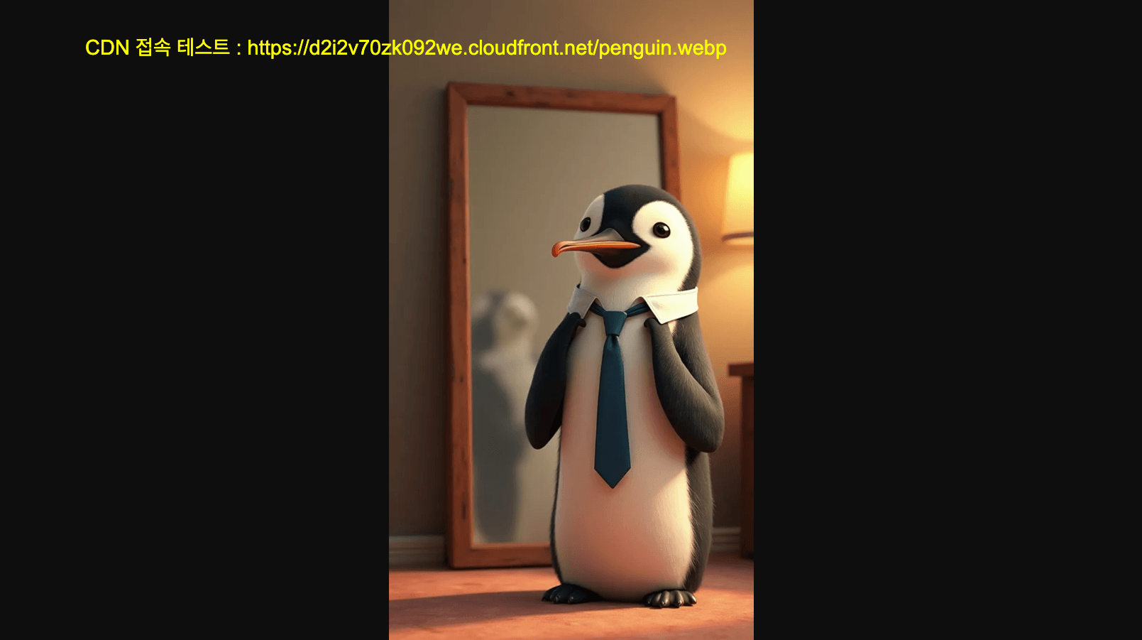 AWS S3 + CloudFront 퍼블릭 URL 만들기 — 단계별 가이드